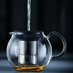 Théière avec Filtre Inox 50cl ASSAM Bodum